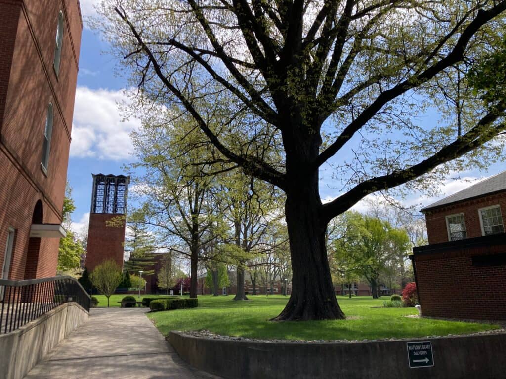 No alt text provided.