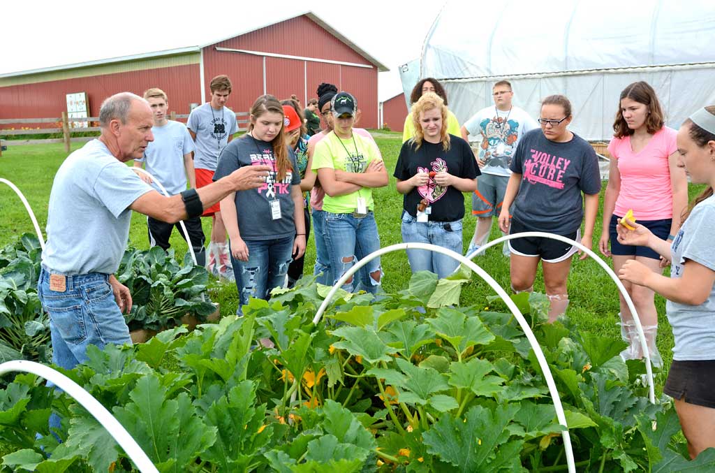 No alt text provided.