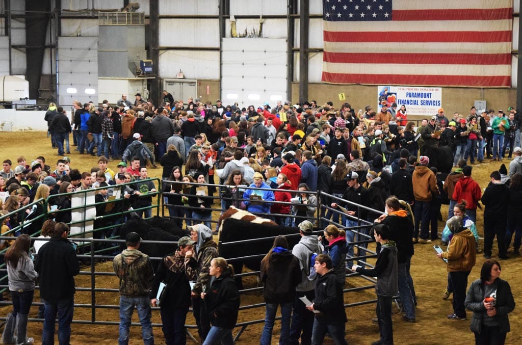 No alt text provided.