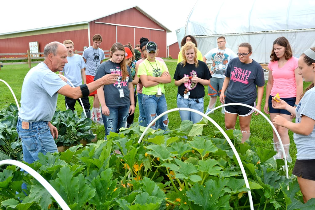 No alt text provided.