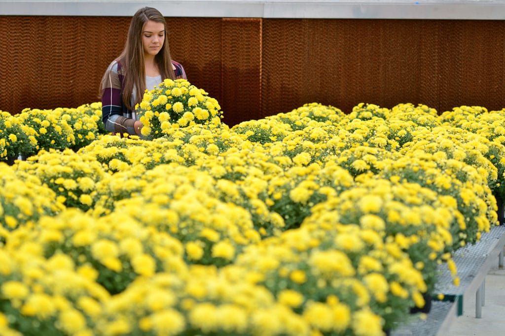 No alt text provided.