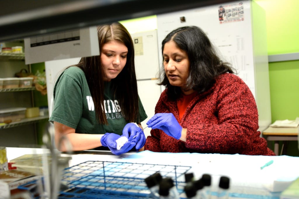 No alt text provided.