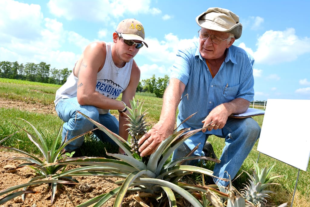 No alt text provided.