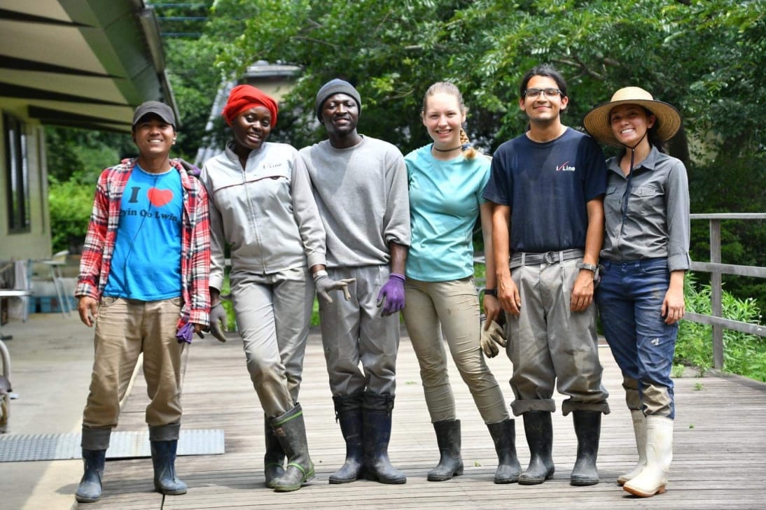 No alt text provided.