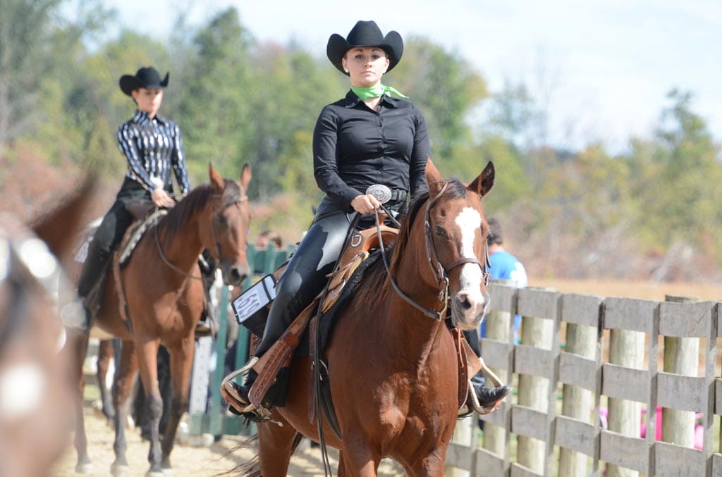 No alt text provided.