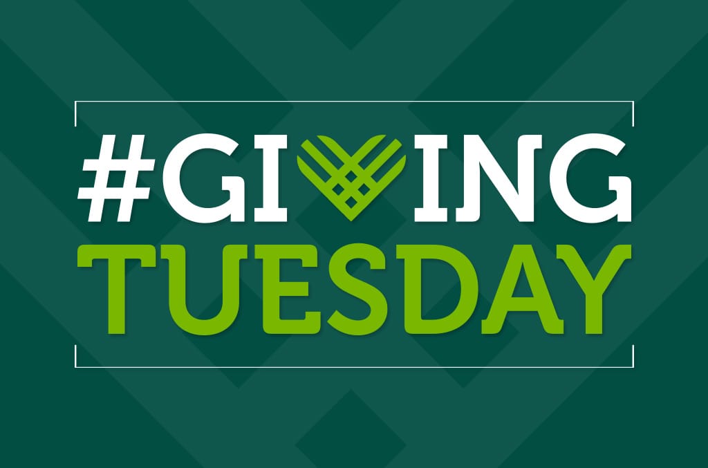 No alt text provided.