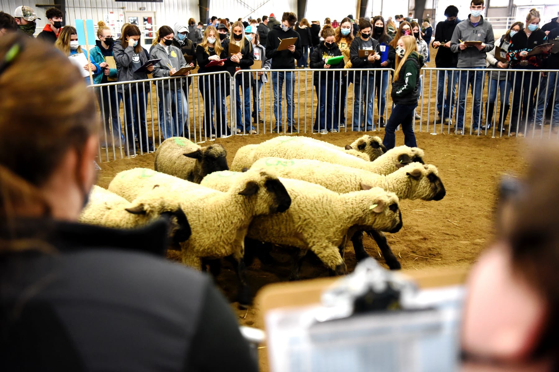 No alt text provided.