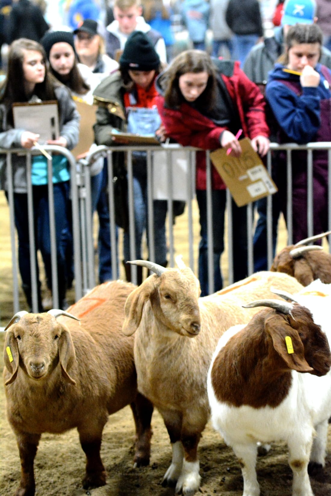 No alt text provided.