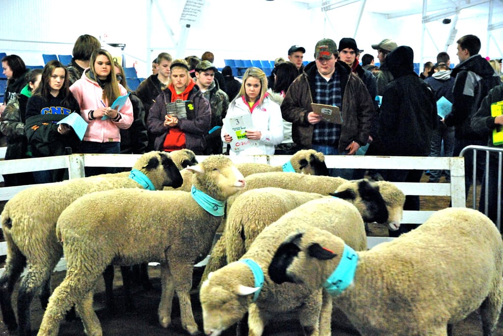 No alt text provided.