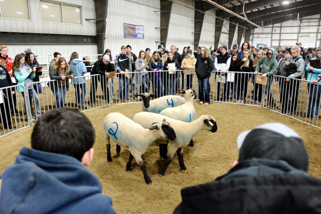 No alt text provided.