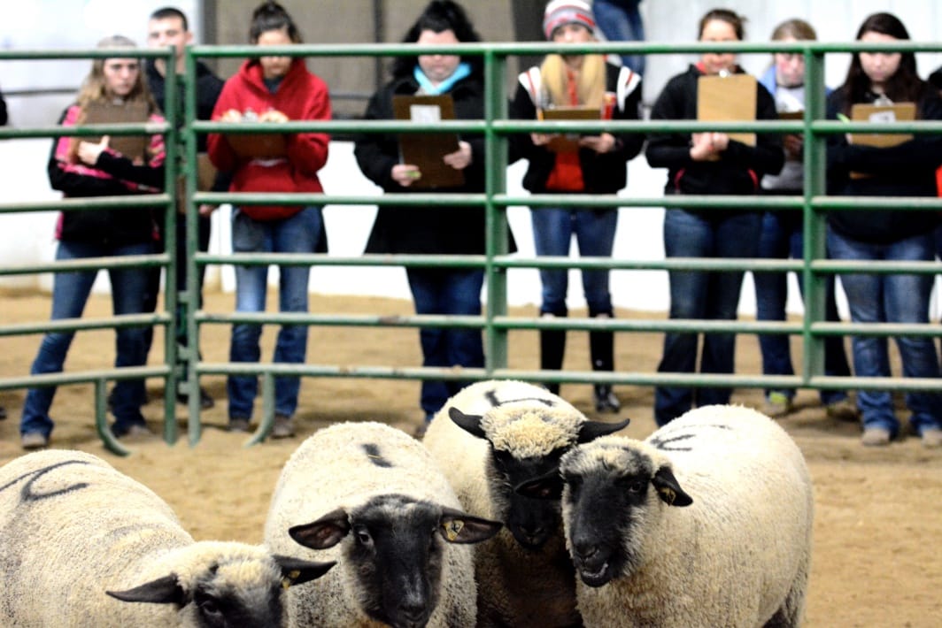 No alt text provided.