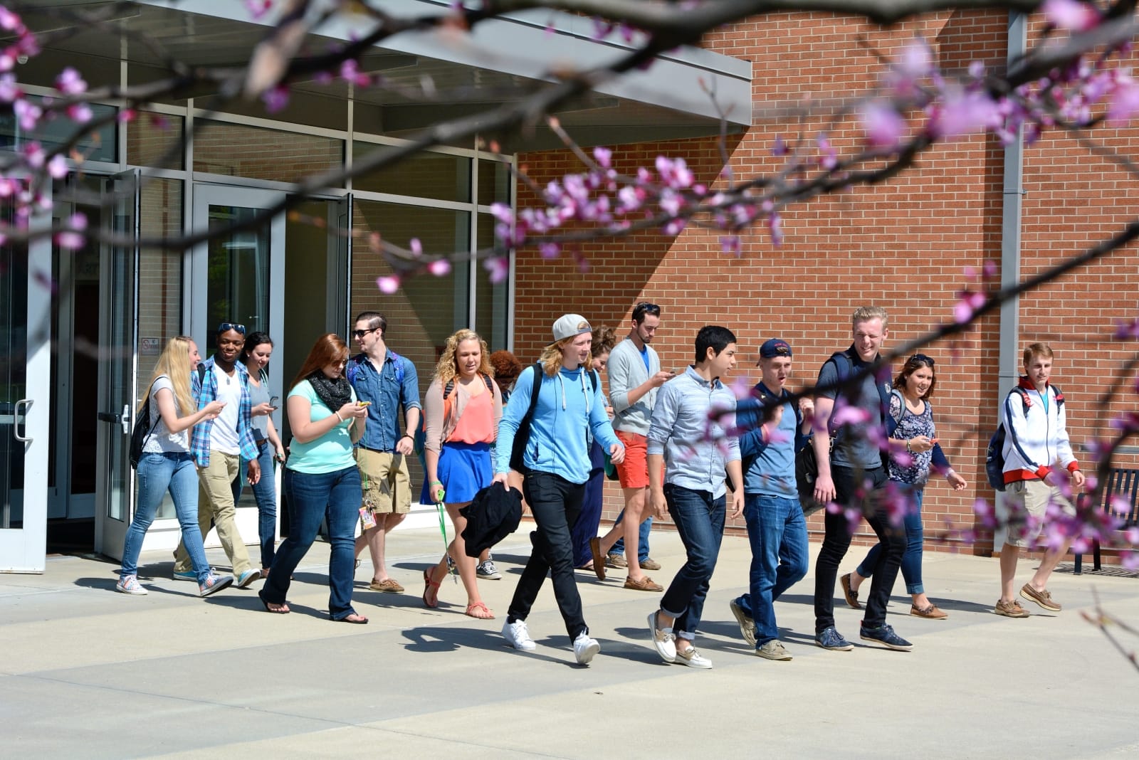 No alt text provided.