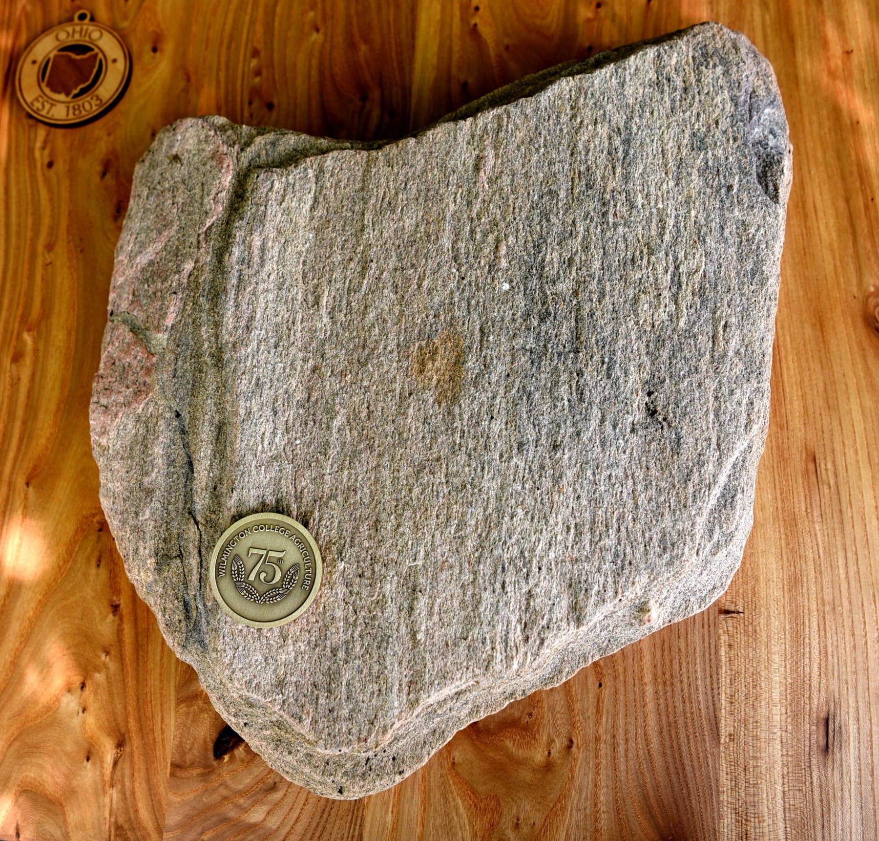 No alt text provided.