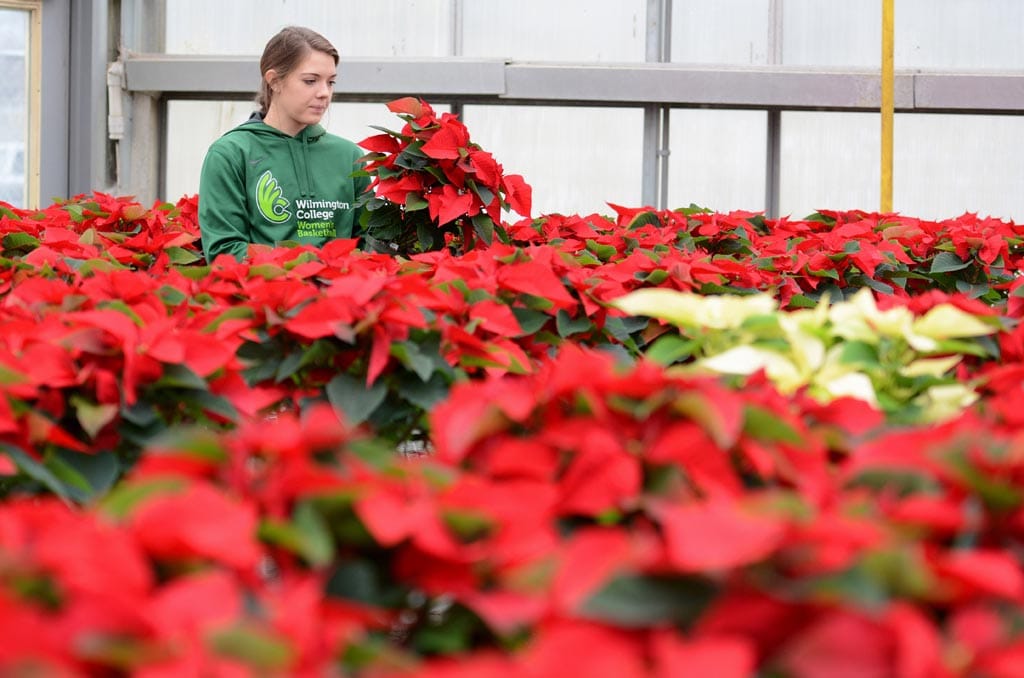 No alt text provided.