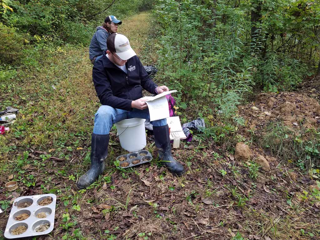 No alt text provided.