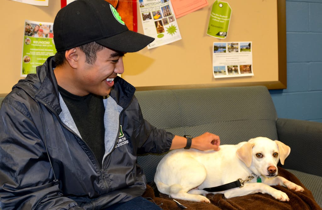 No alt text provided.