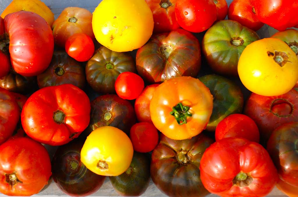 No alt text provided.