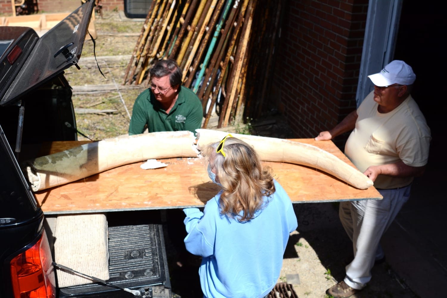 No alt text provided.