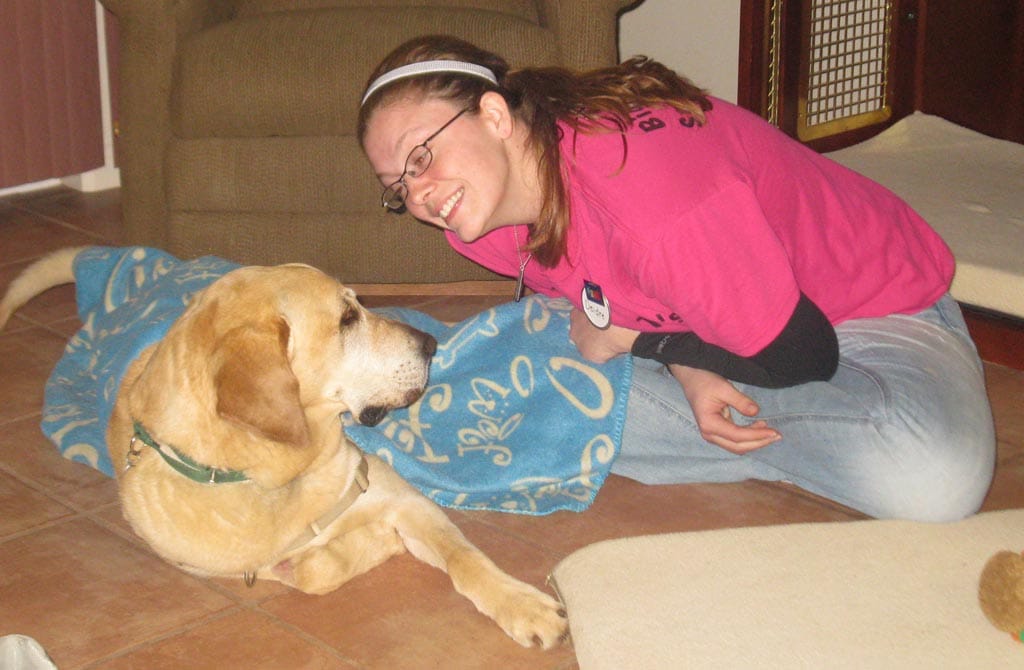 No alt text provided.