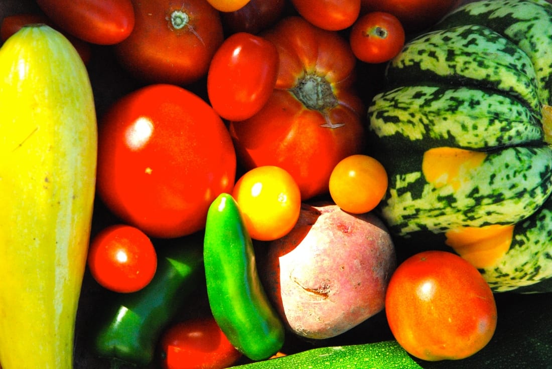 No alt text provided.