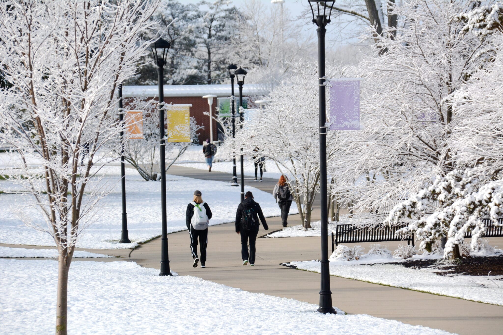 No alt text provided.