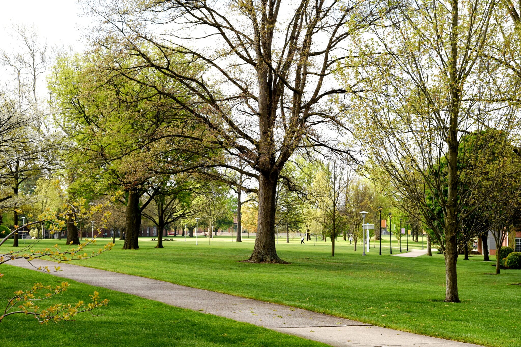 No alt text provided.