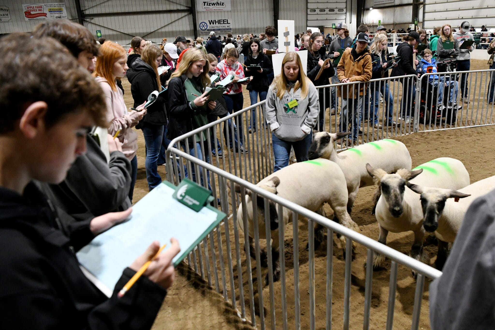 No alt text provided.