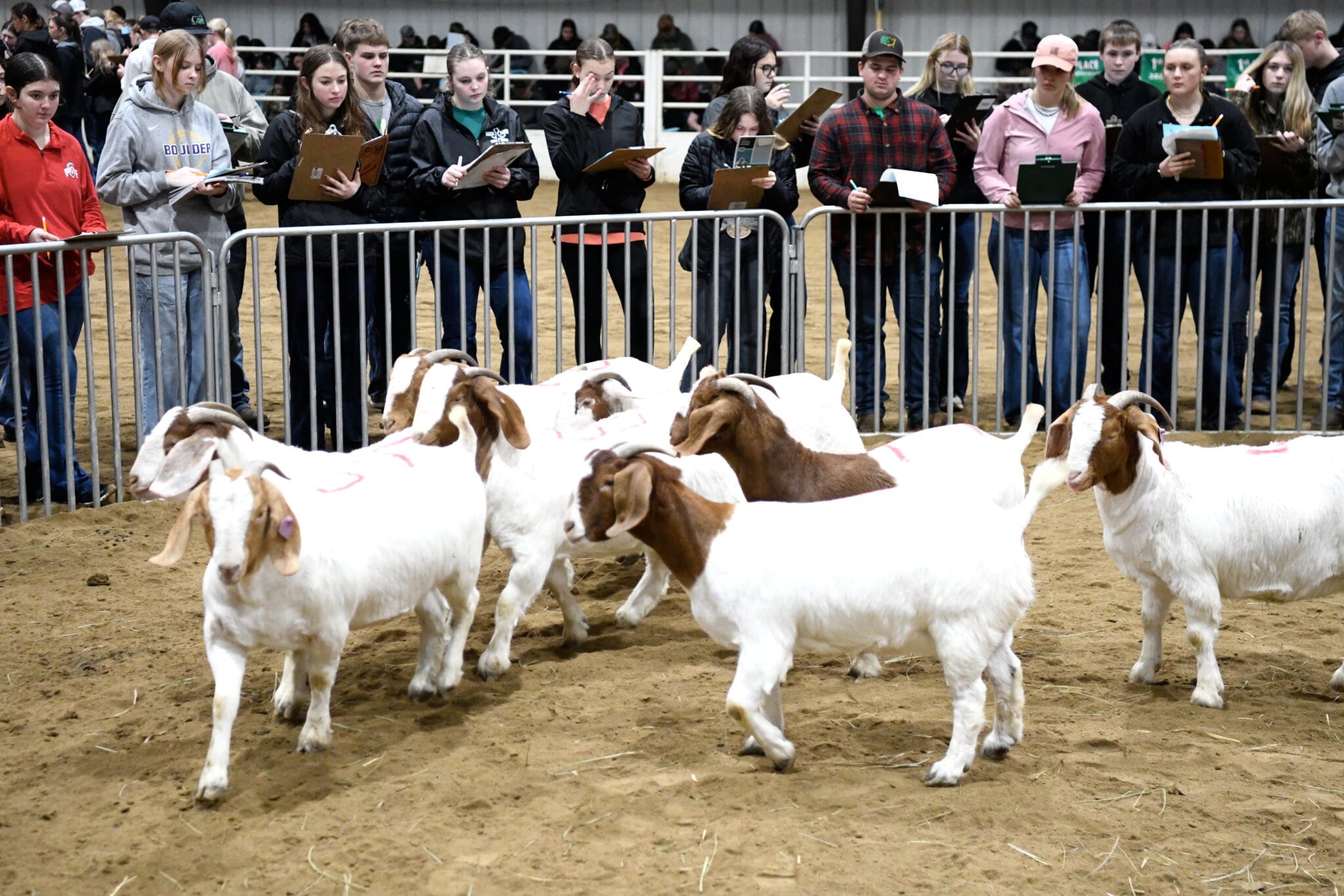 No alt text provided.