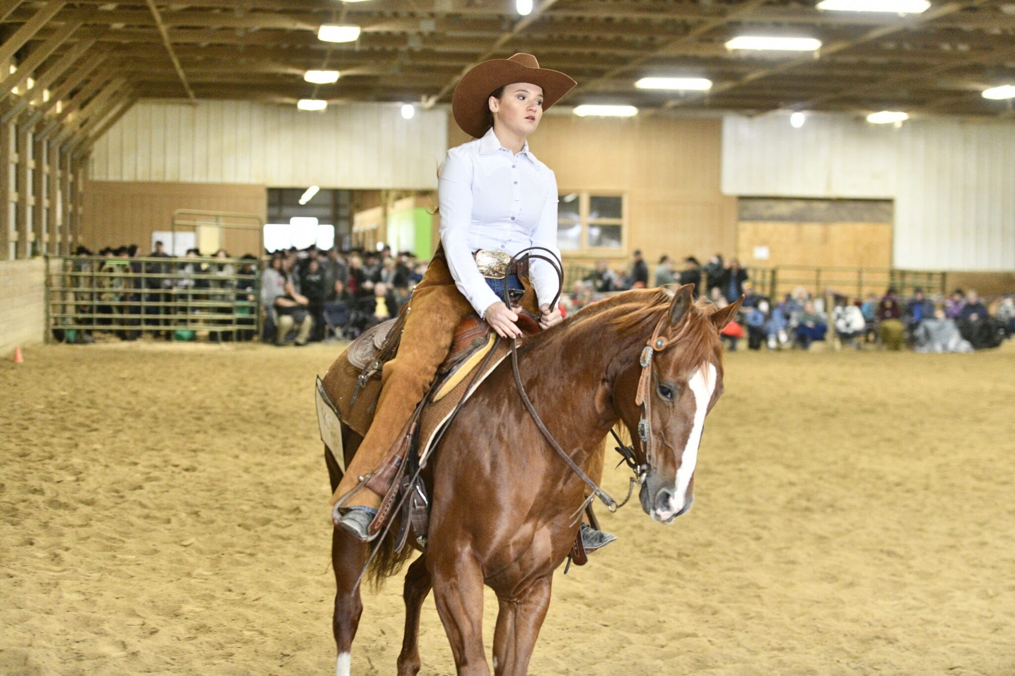 No alt text provided.