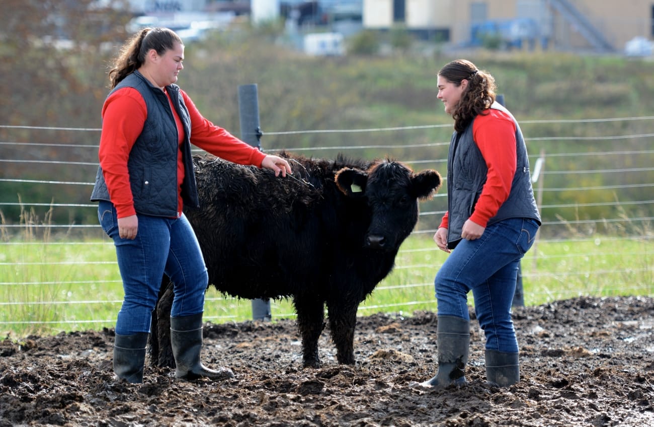 No alt text provided.