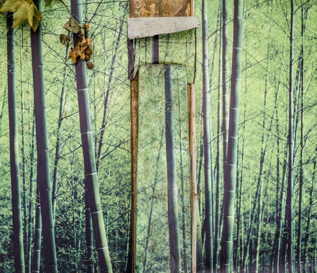 No alt text provided.