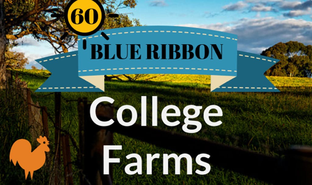 No alt text provided.