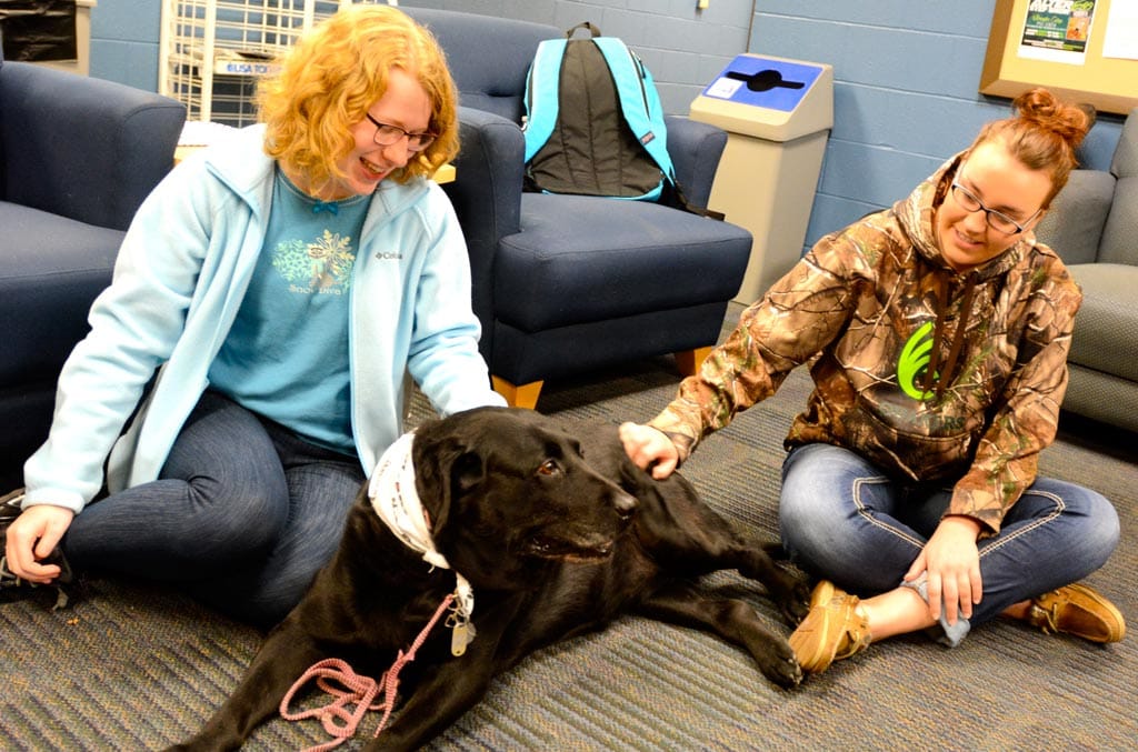 No alt text provided.