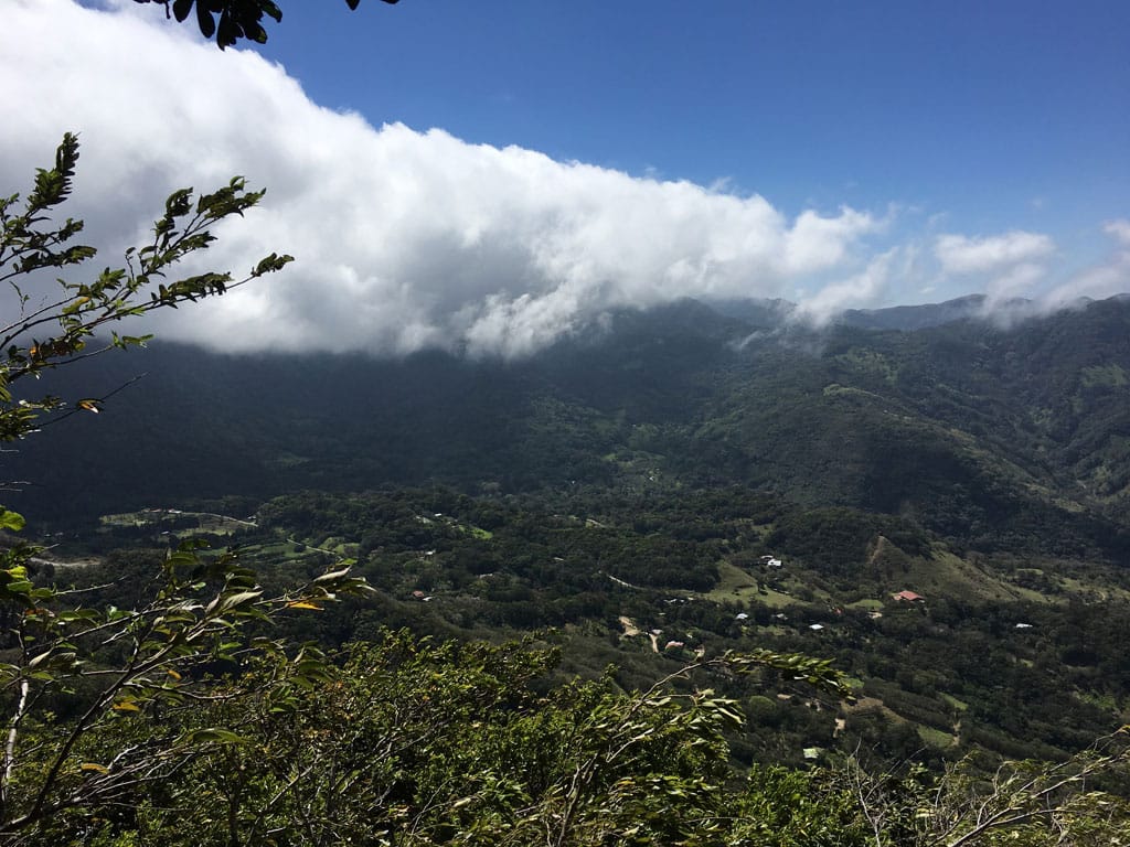 No alt text provided.