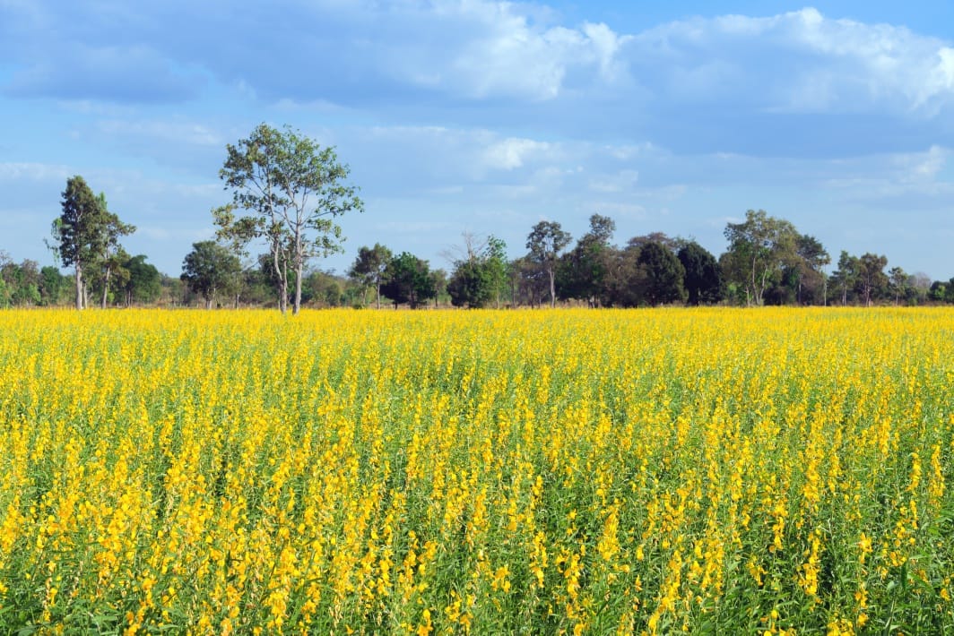 No alt text provided.