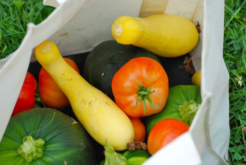 No alt text provided.