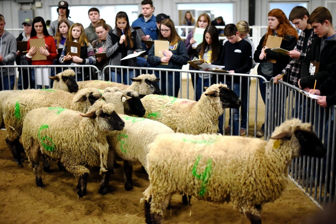 No alt text provided.