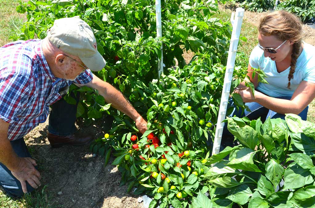 No alt text provided.