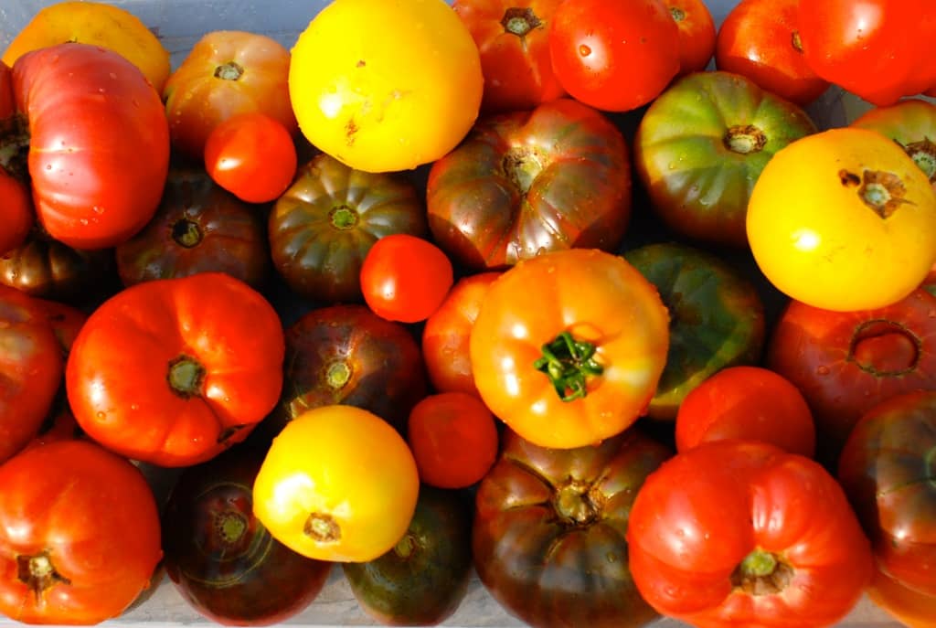 No alt text provided.