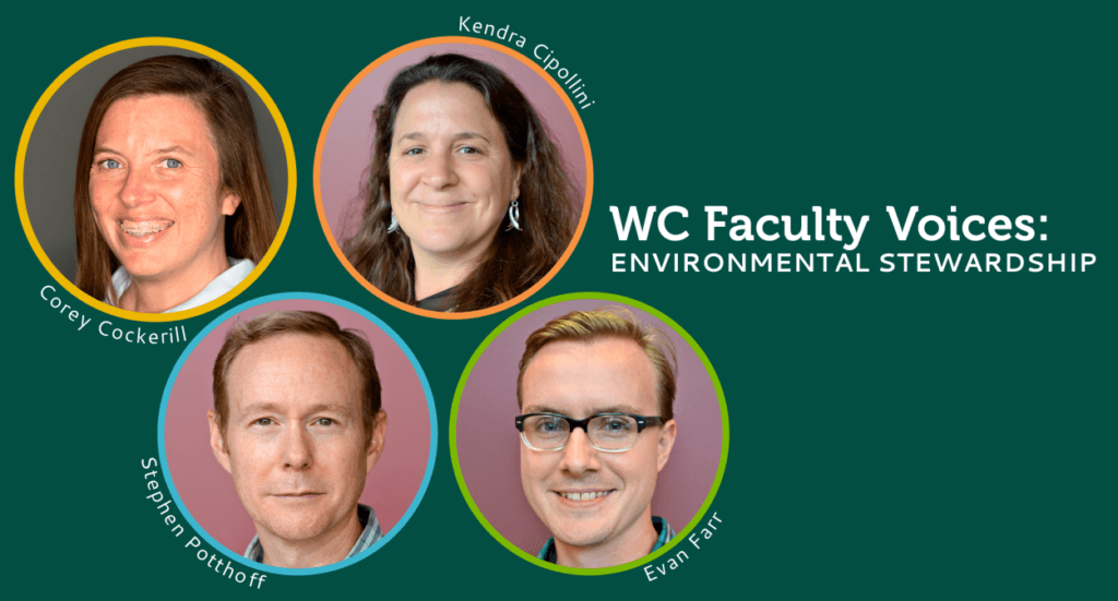 No alt text provided.