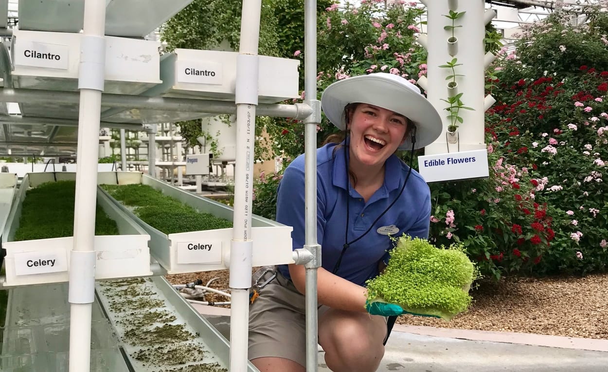 No alt text provided.