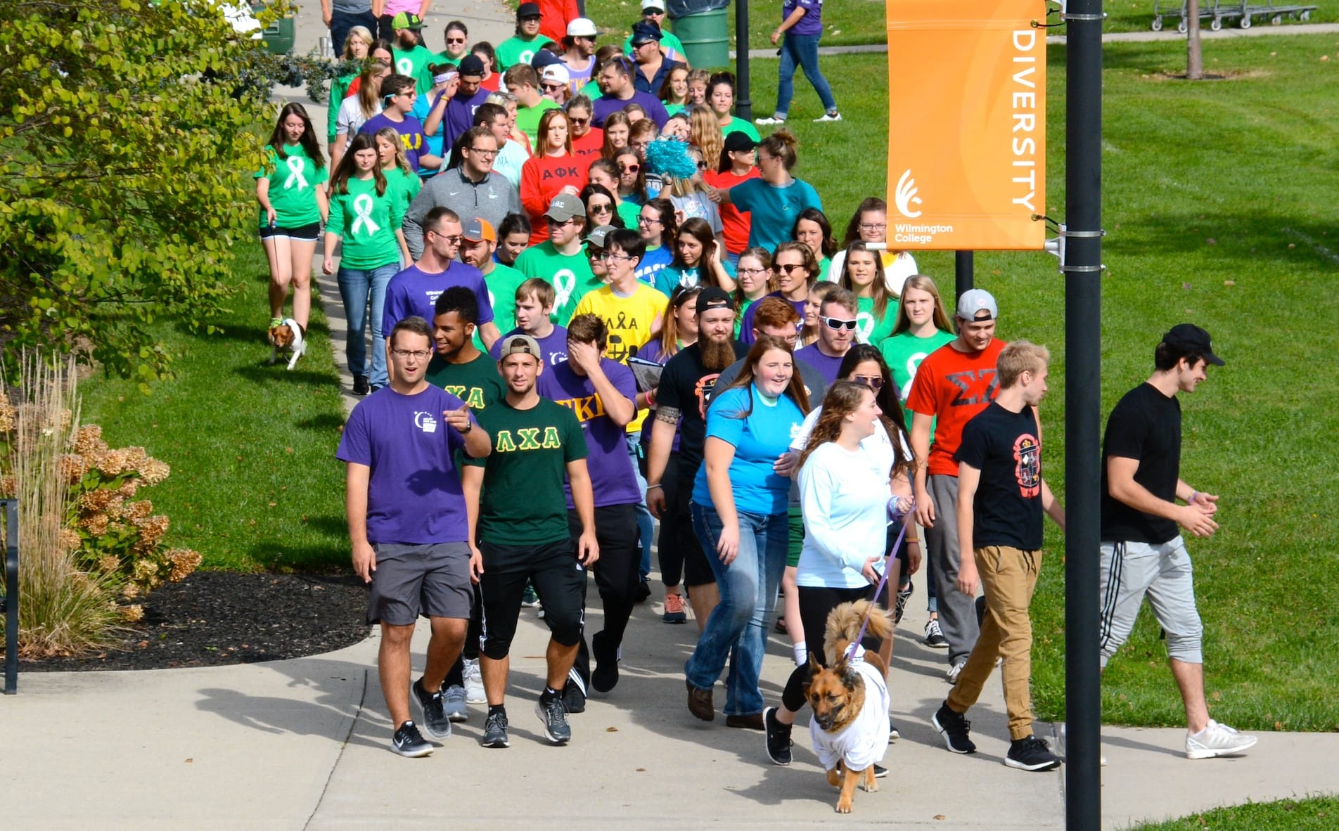 No alt text provided.