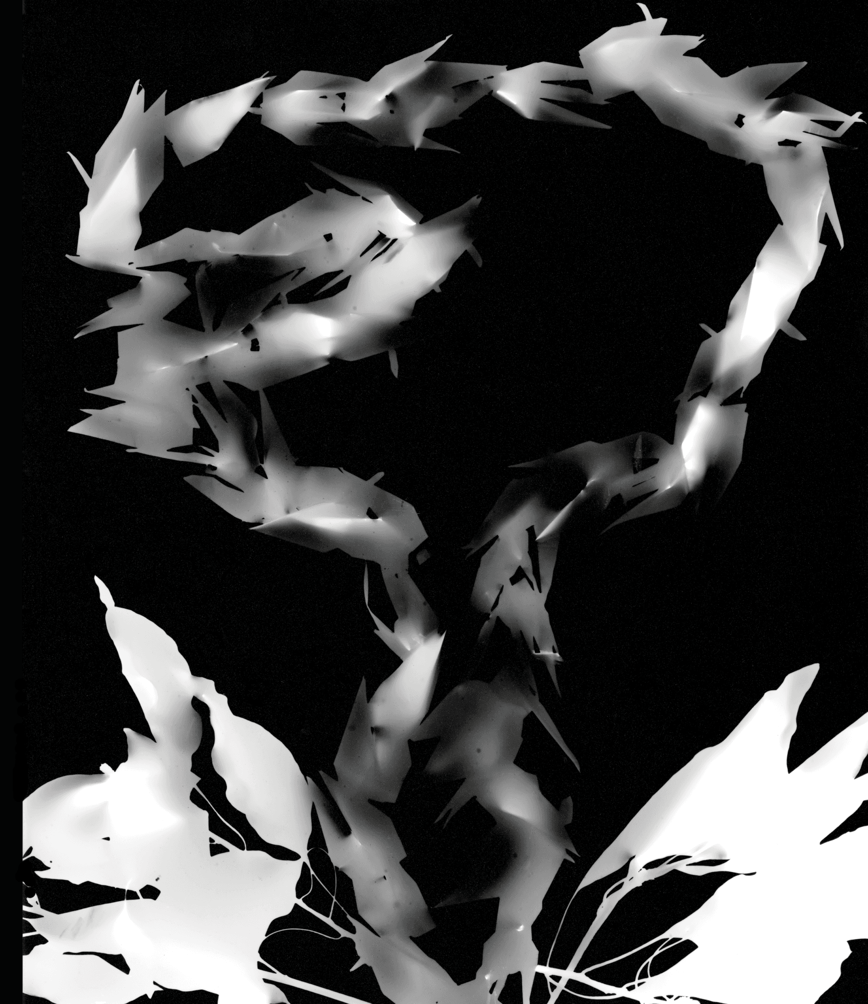 No alt text provided.