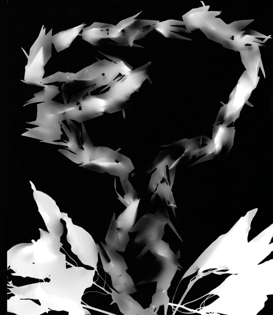 No alt text provided.