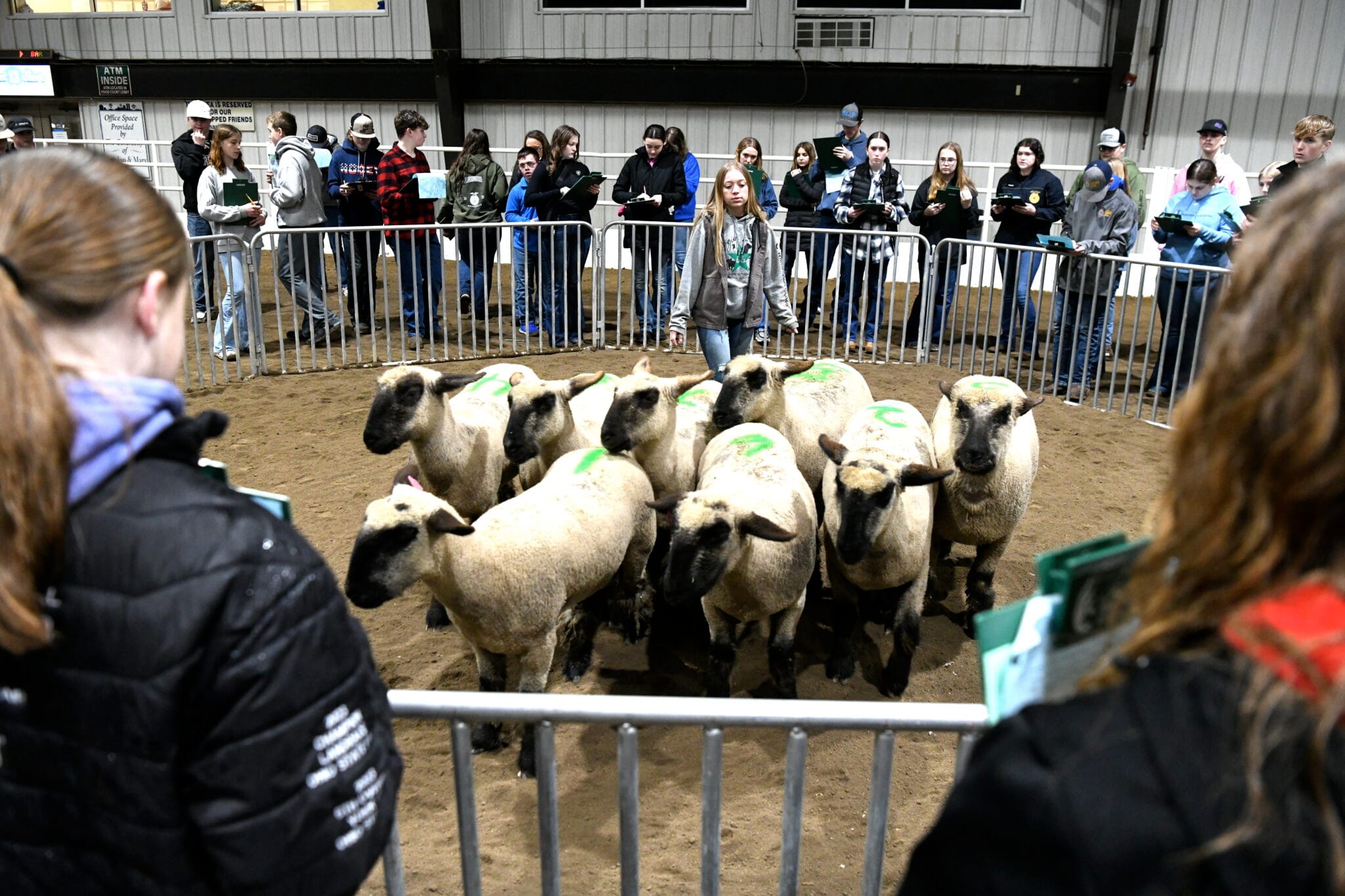 No alt text provided.