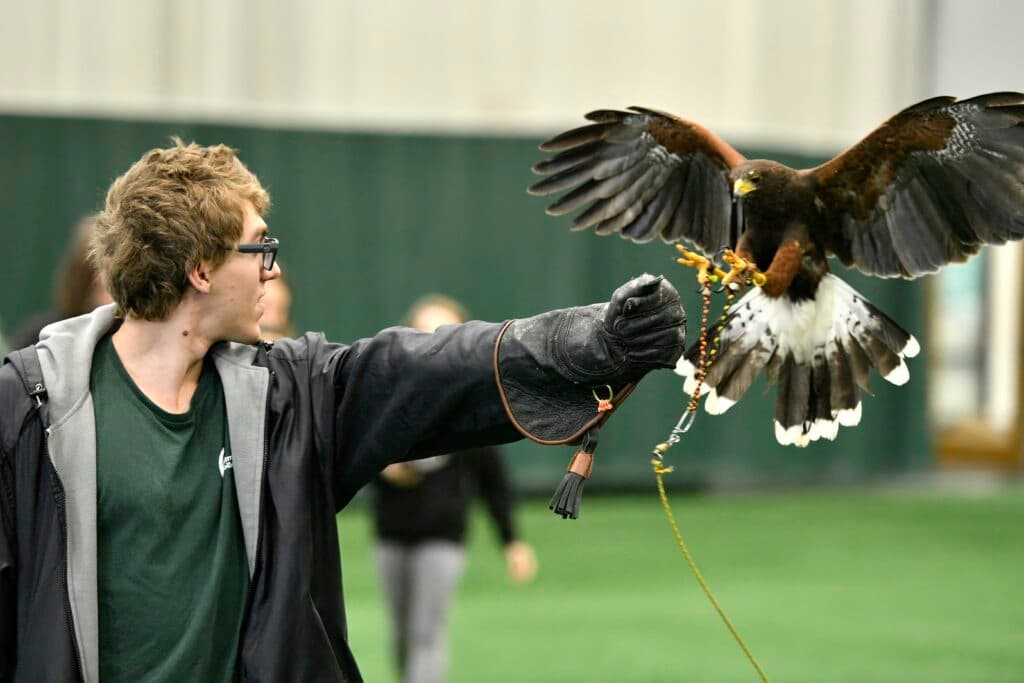 No alt text provided.